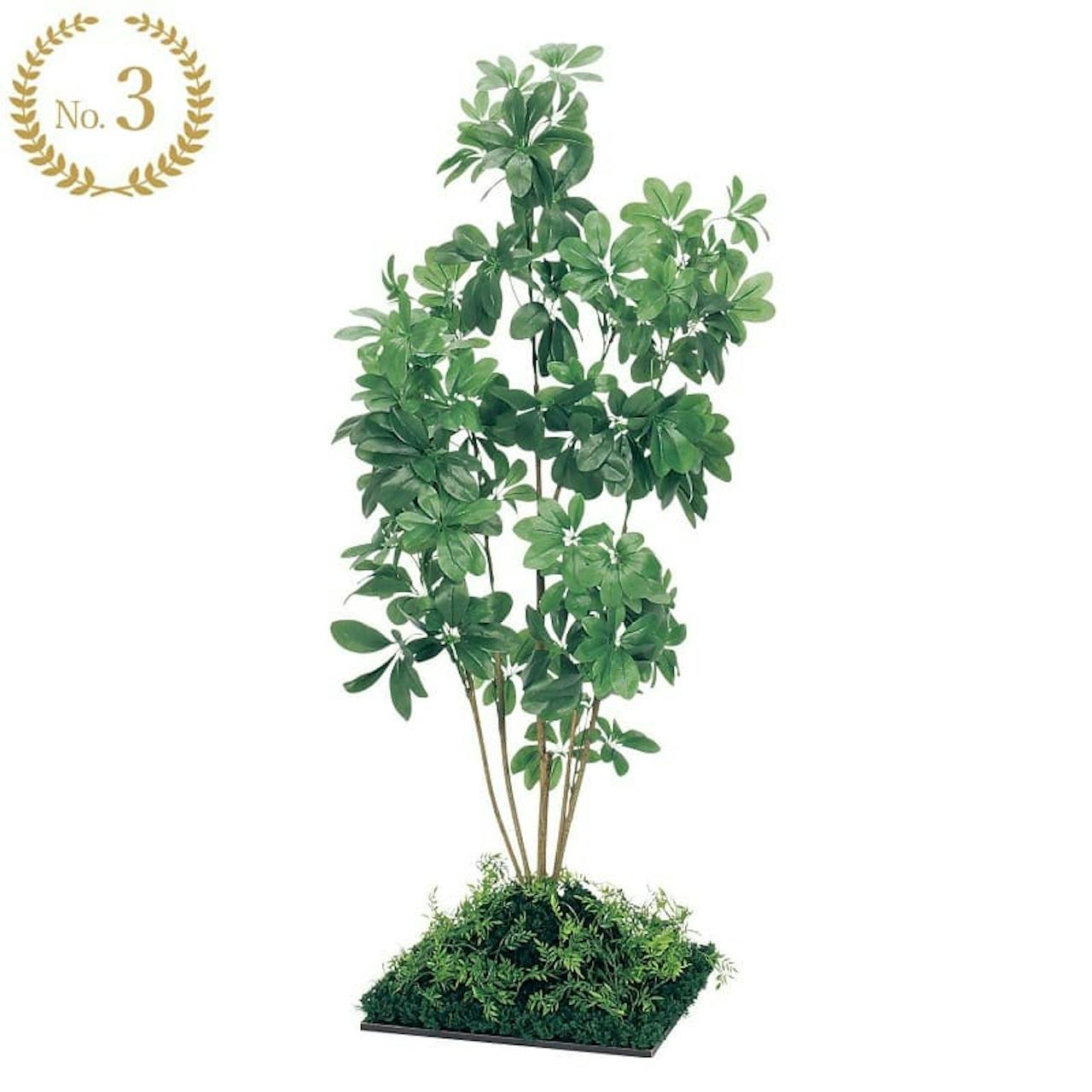 新感覚の土植え風_GR5063_¥53,900(税込)