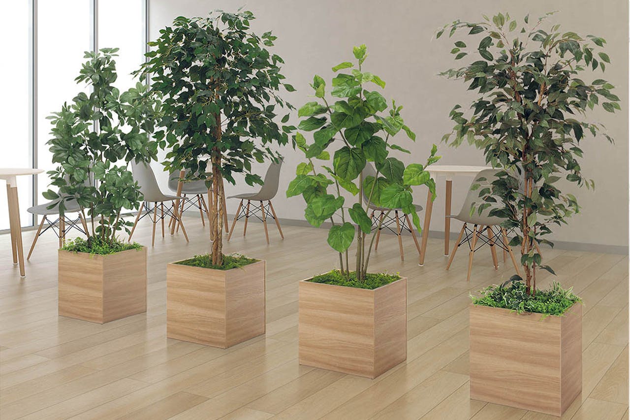 人工樹木を柱周りや四隅に置くと効果的_事例画像