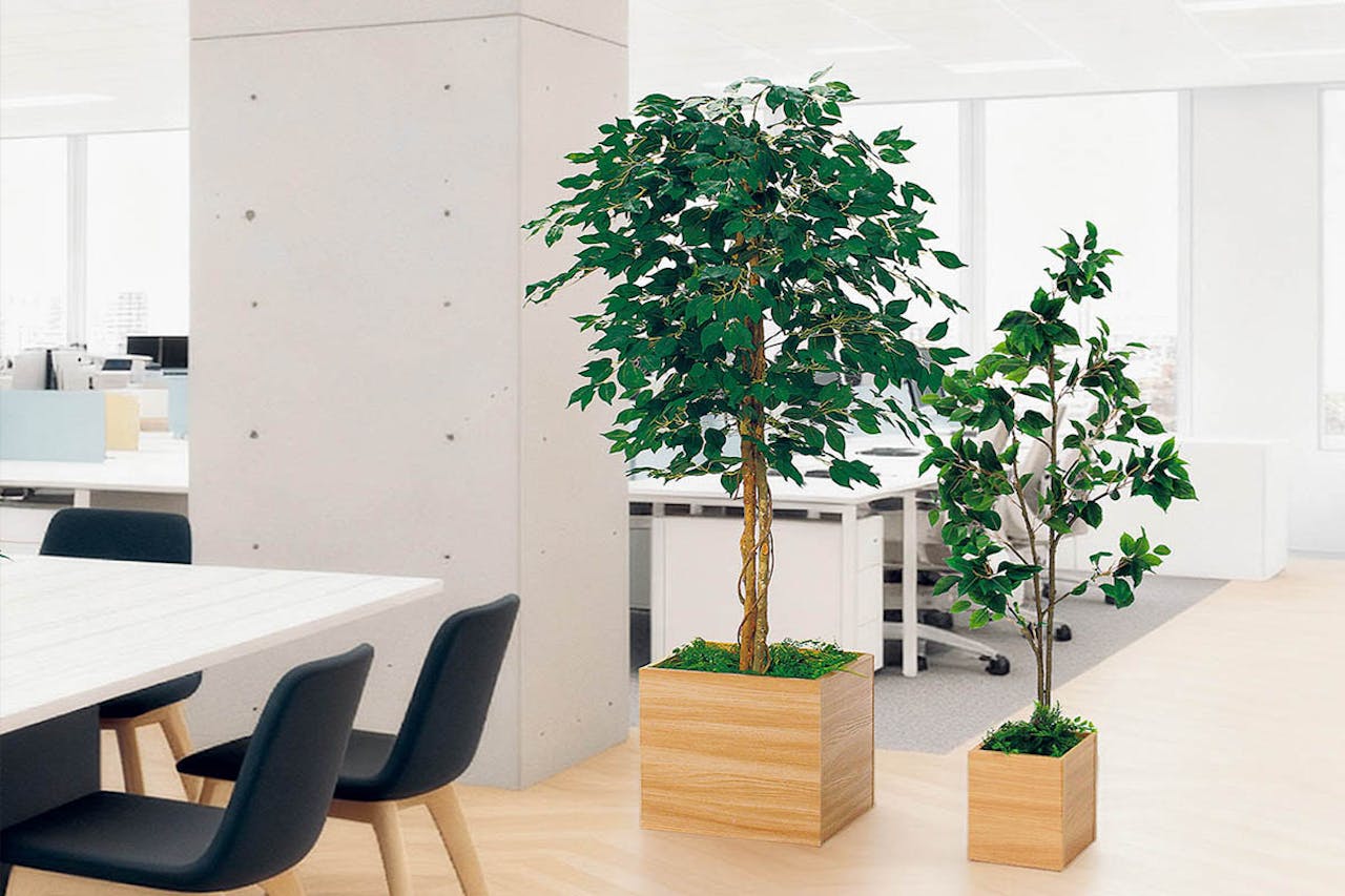 自然を感じる人工樹木でプチ緑化_事例画像