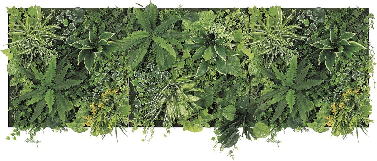 用語集 -ワイドパネル