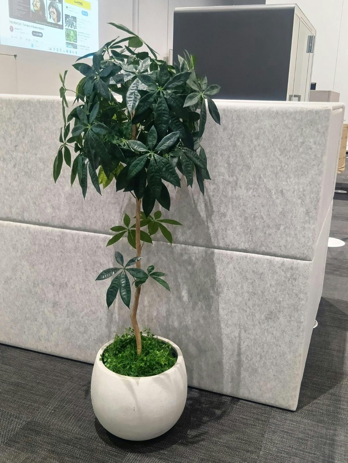 展示会の施工事例03