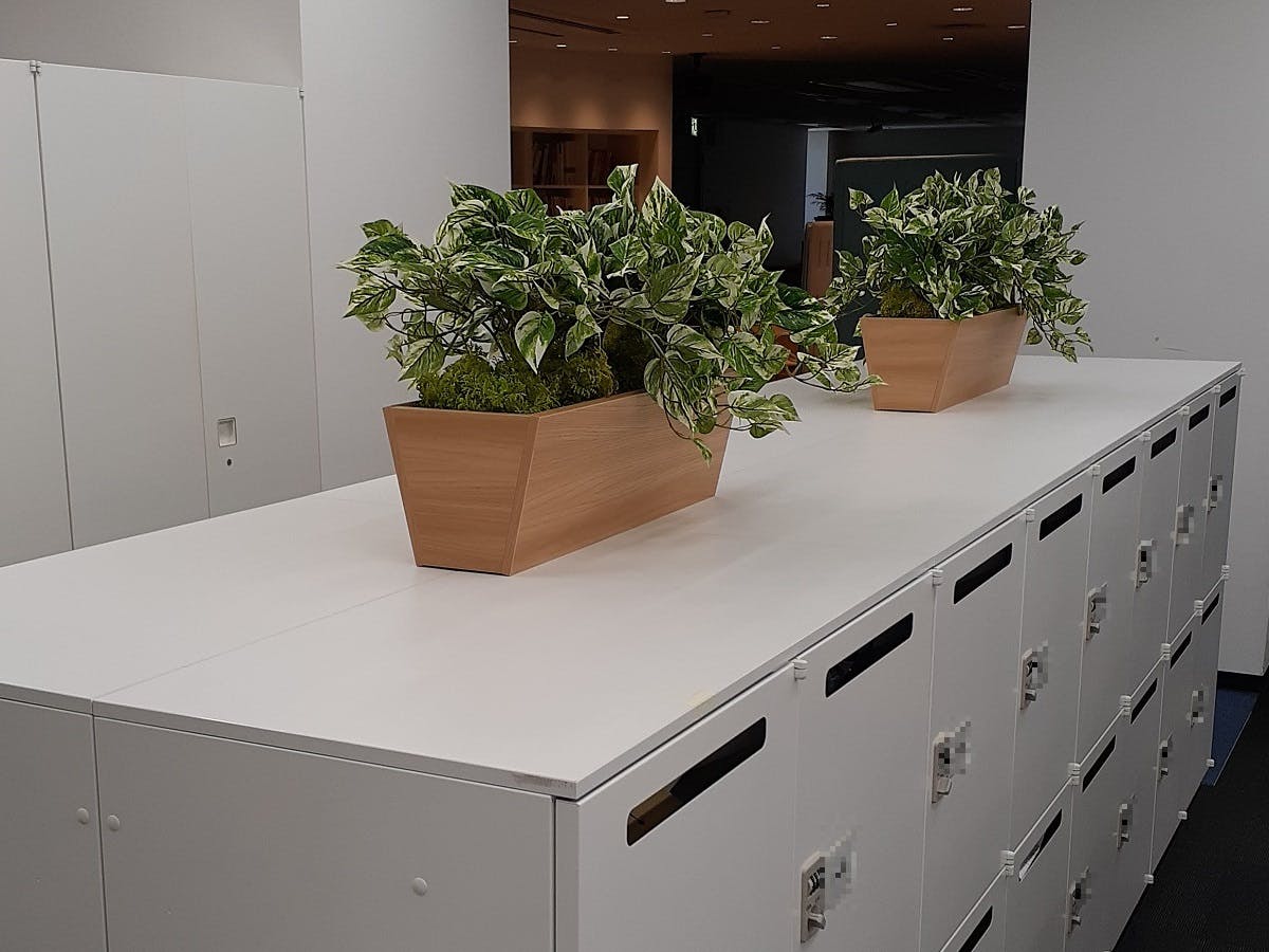 グリーンポット