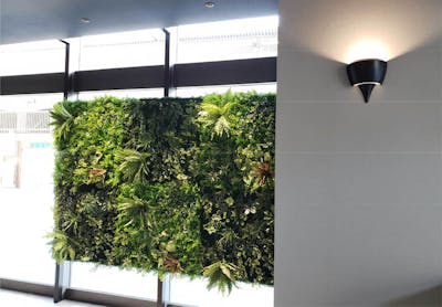 【オフィスの施工事例】姫路ライブオフィスで壁面用のグリーンモードをご利用頂きました。