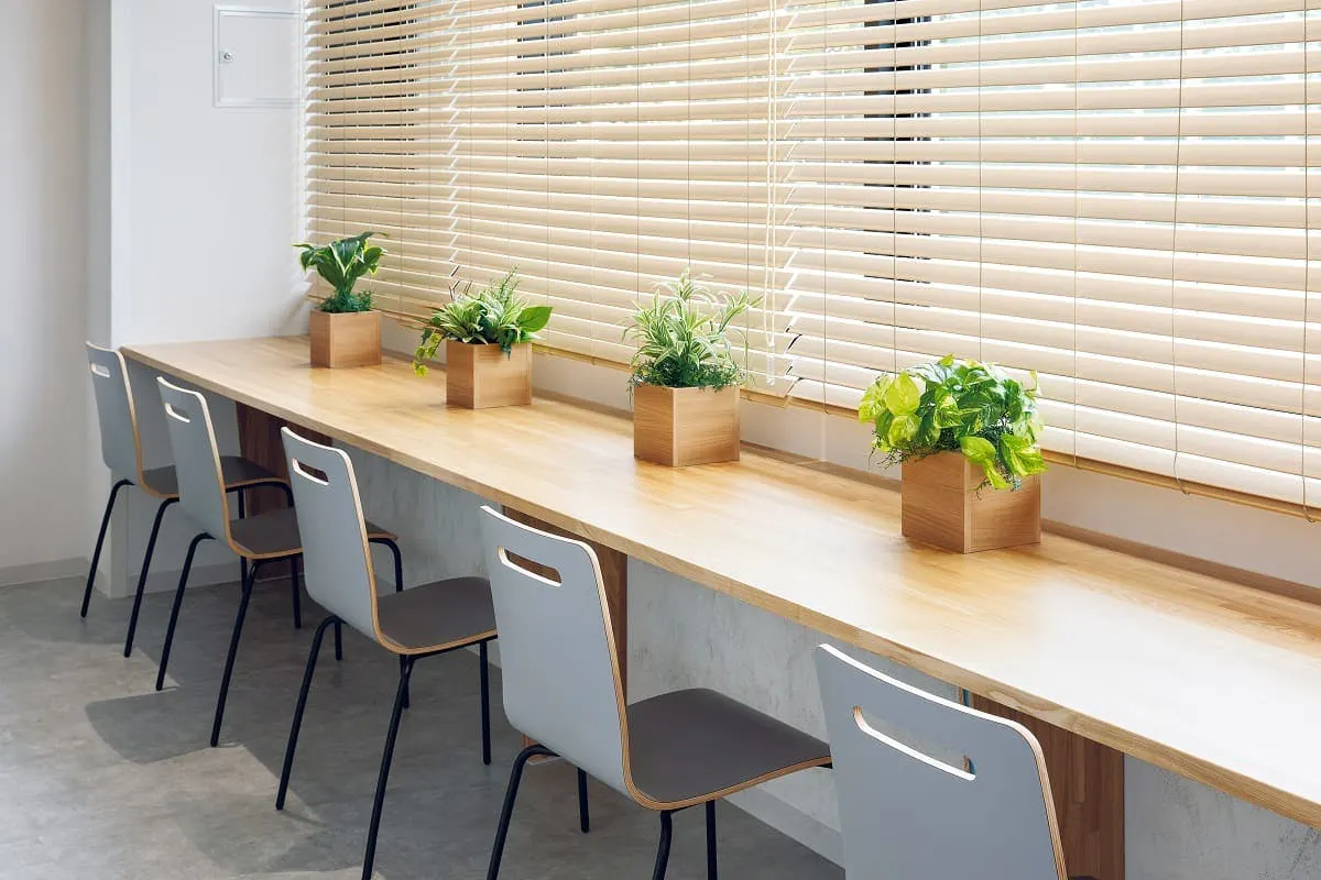 ミニサイズ観葉植物