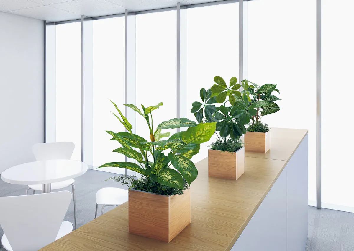 フェイクグリーン