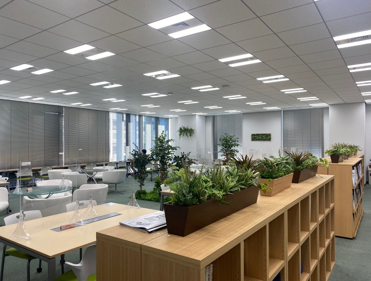 小さい観葉植物おすすめ6選 初心者必見 ランキング 人気 育て方と知識 小さい観葉植物おすすめ6選 初心者必見 ランキング 人気 育て方と知識