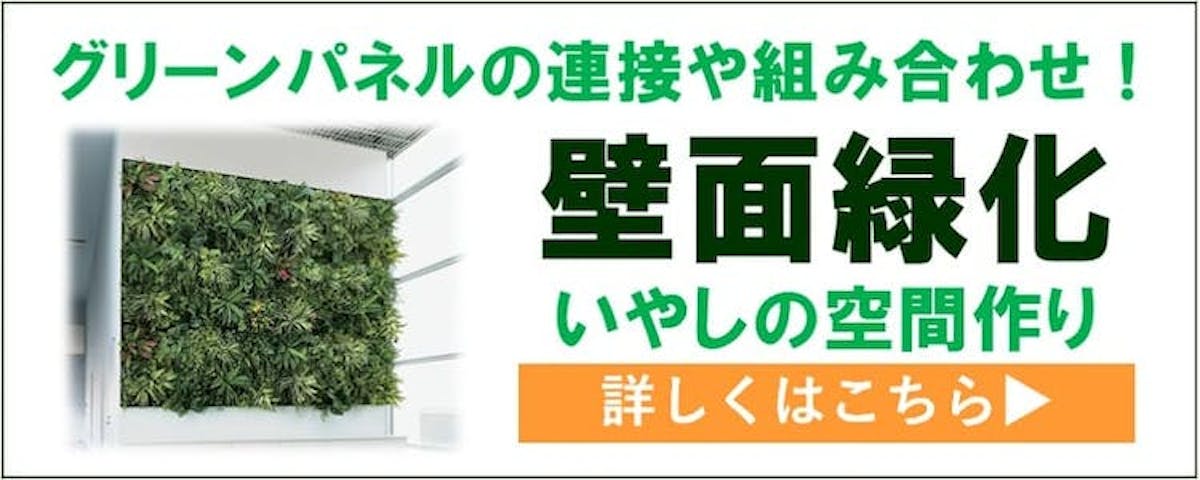 壁面緑化