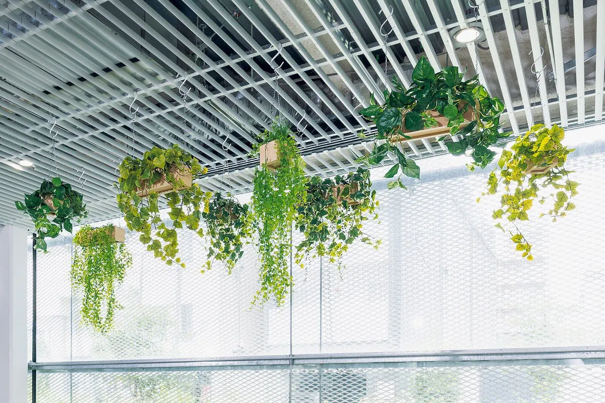 フェイクグリーン　ハンギング