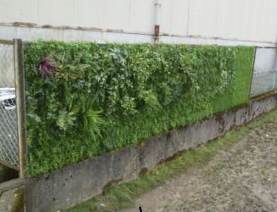 フェイクグリーン 屋外 設置実験