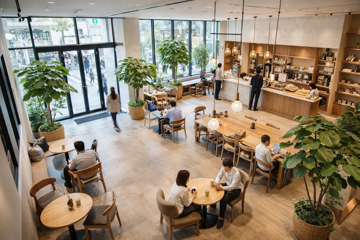 店舗　ウンベラータ