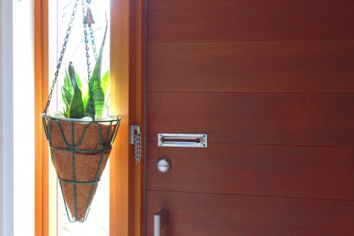 サンスベリア　吊るし