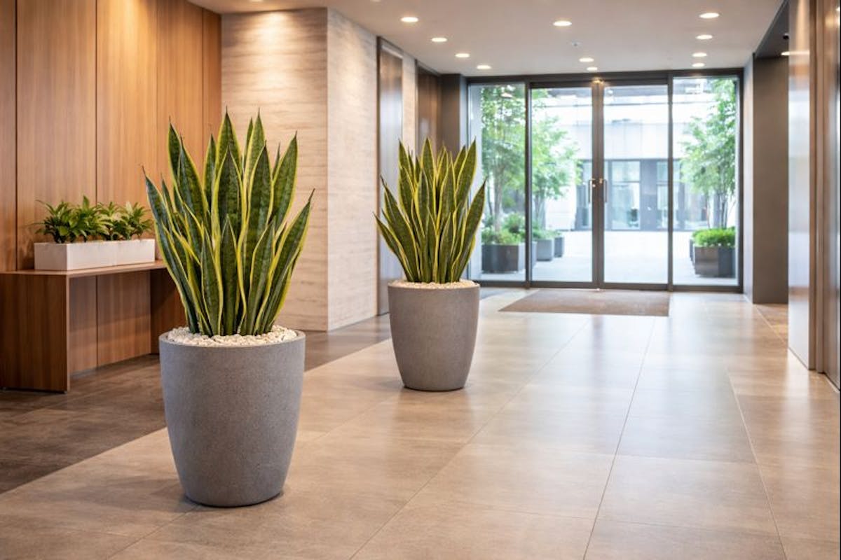 フェイクグリーン　エントランス