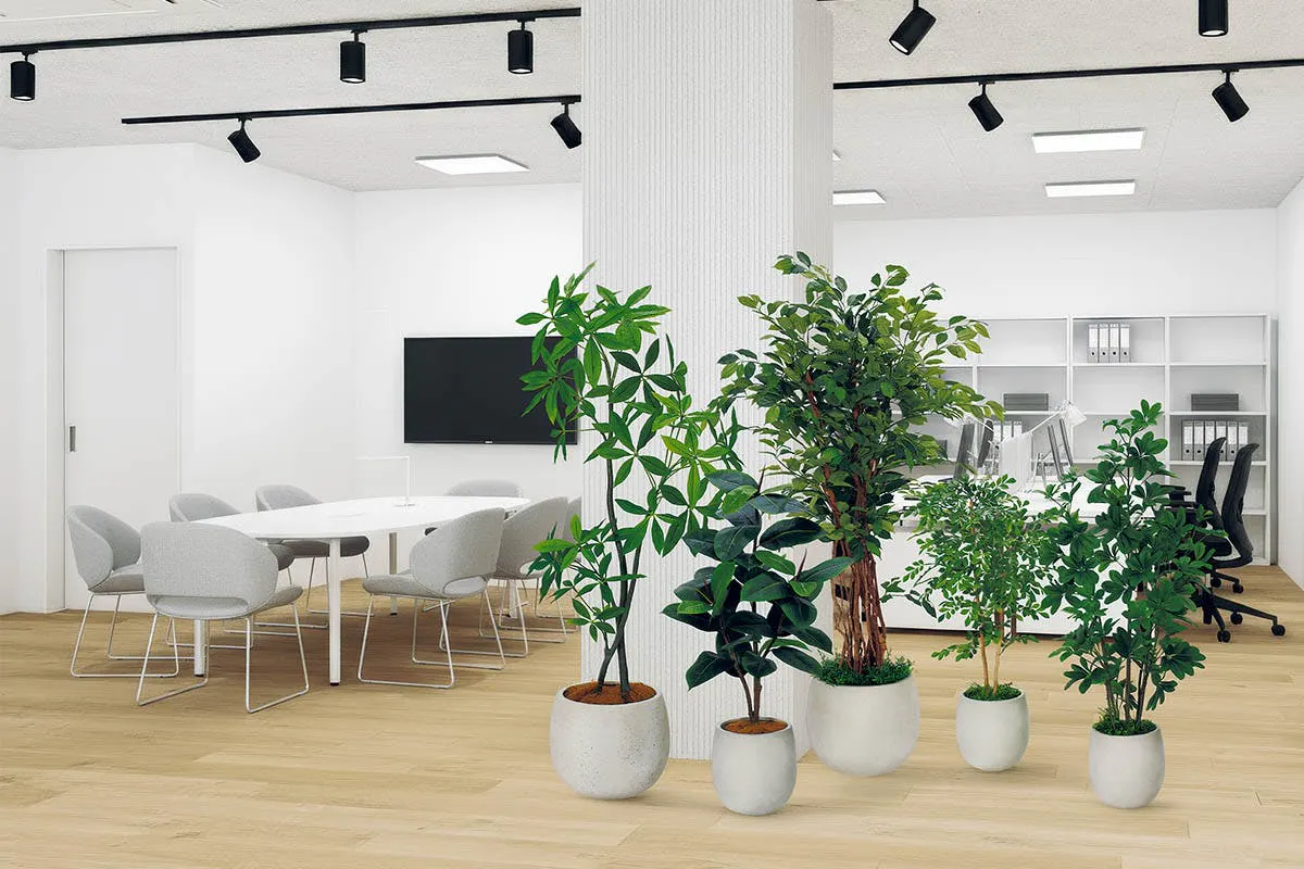 パキラ　フェイクグリーン