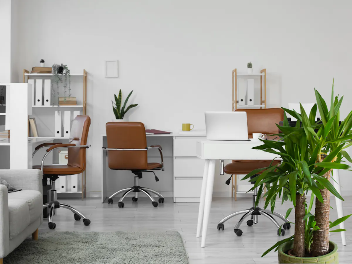 オフィス　ユッカ