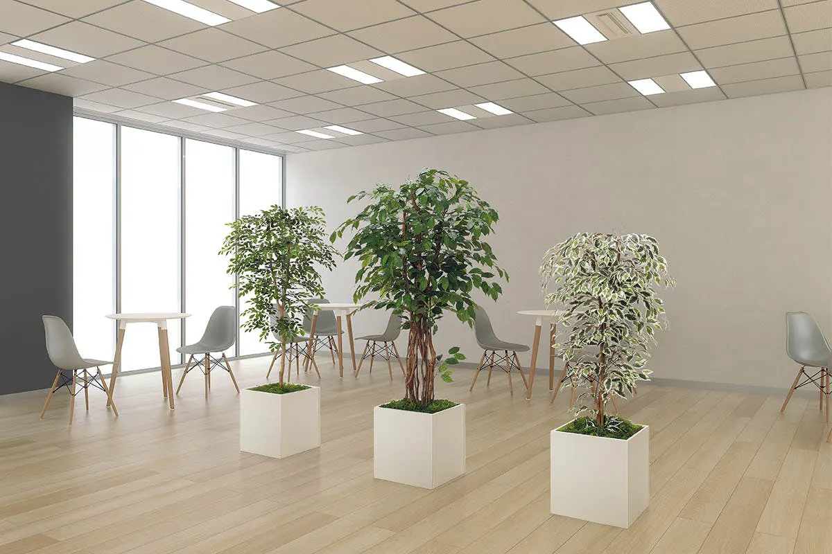 ベンジャミン　フェイクグリーン