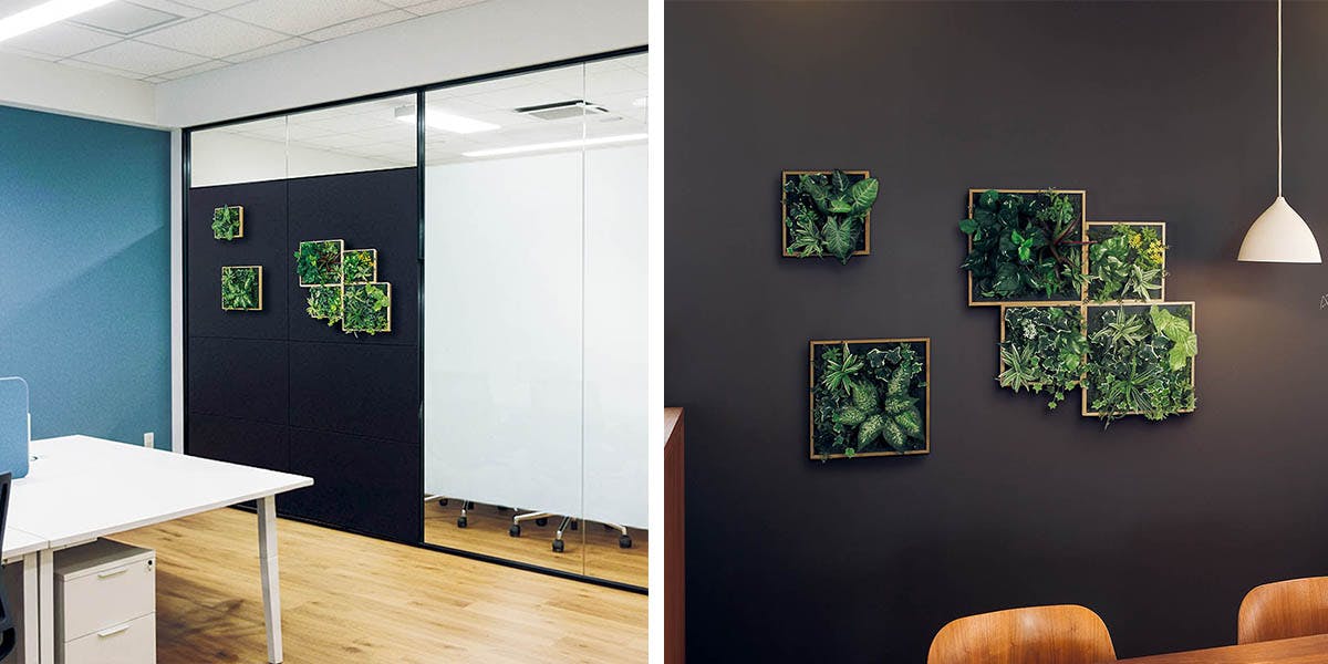 グリーンパネル_マグネット_木目BOX