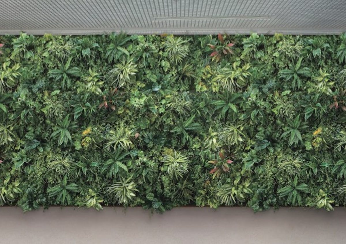 フェイクグリーン_壁面