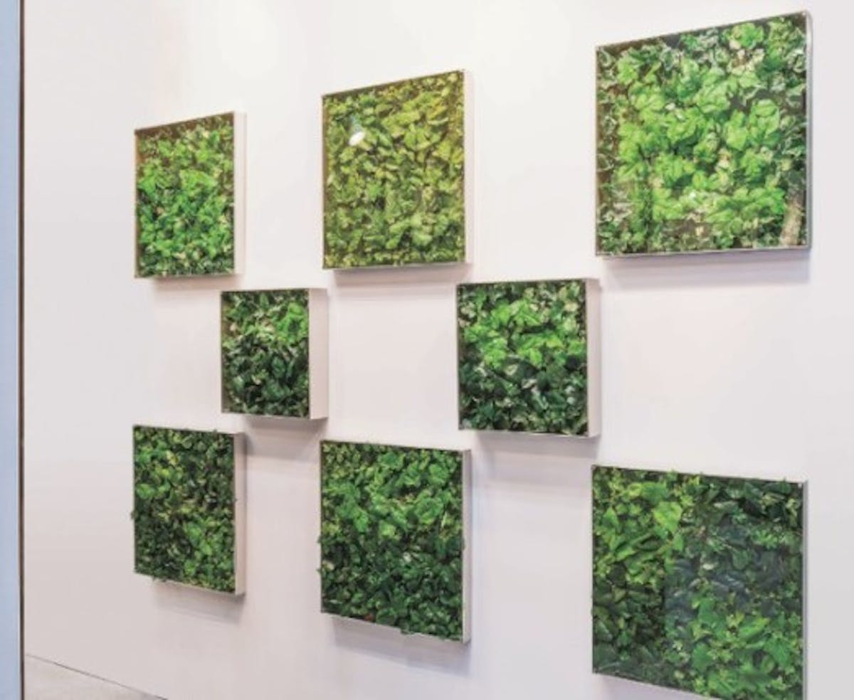 フェイクグリーン_観葉植物