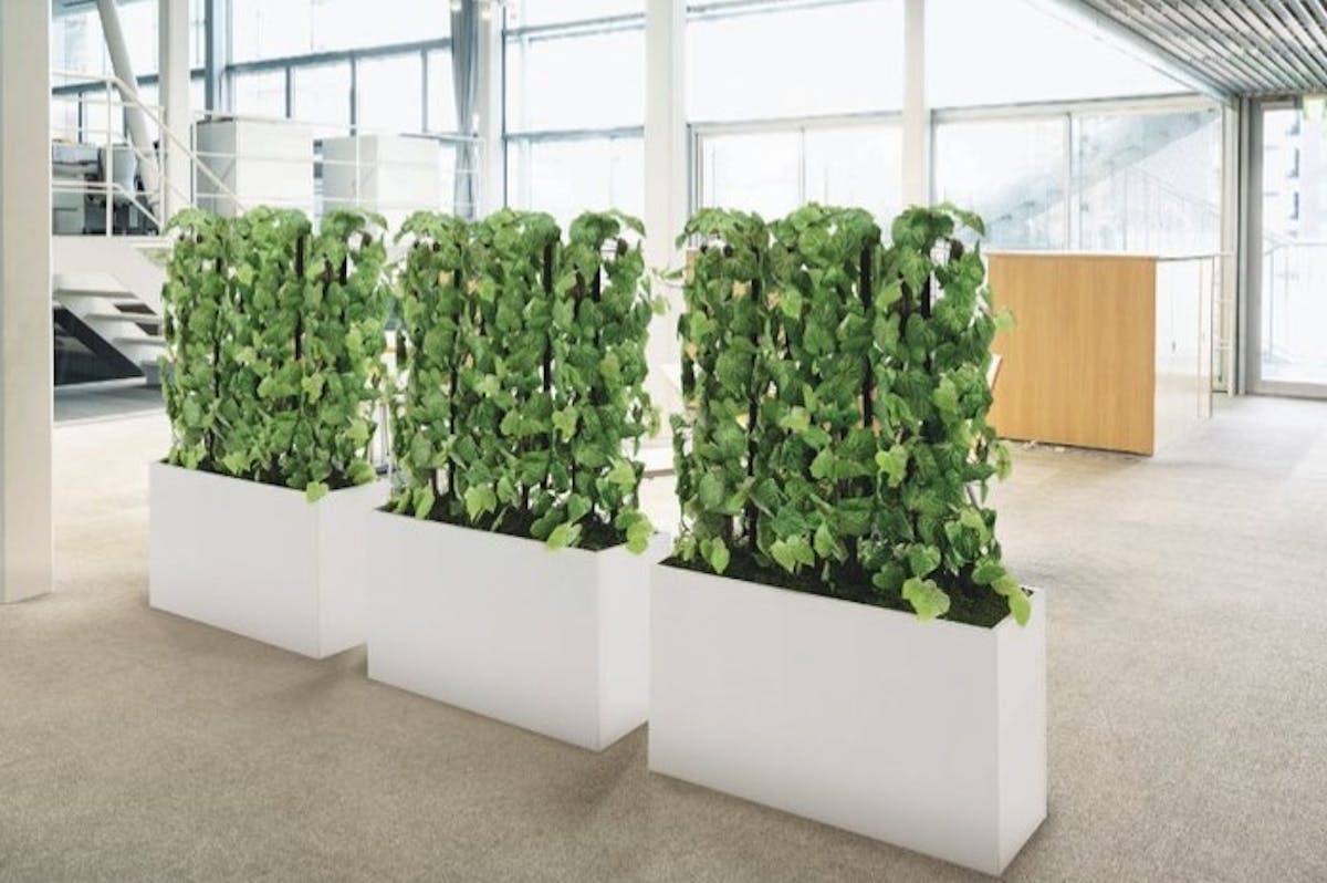 フェイクグリーン_パーテーション