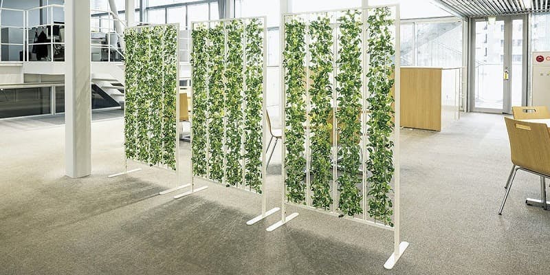 グリーン パーテーションで手軽に癒しの空間作り｜グリーンモード