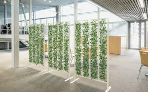 グリーンパーテーション