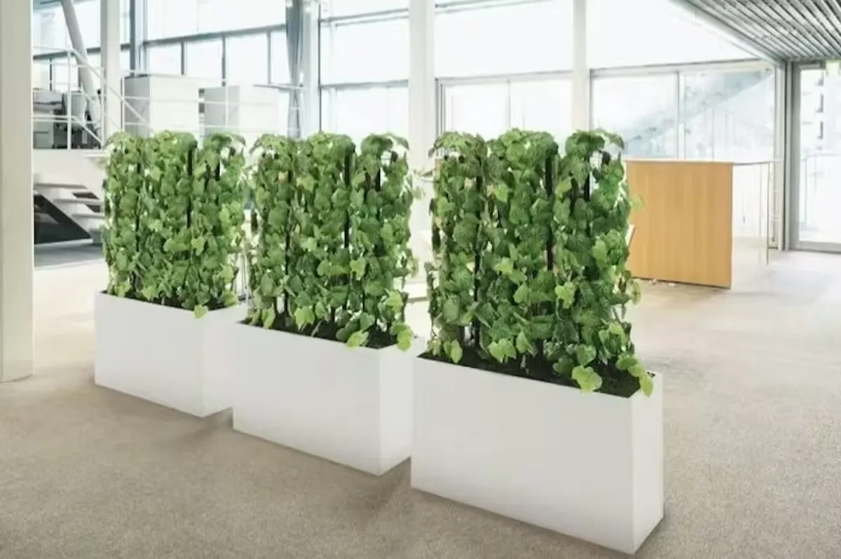 フェイクグリーン　パーテーション