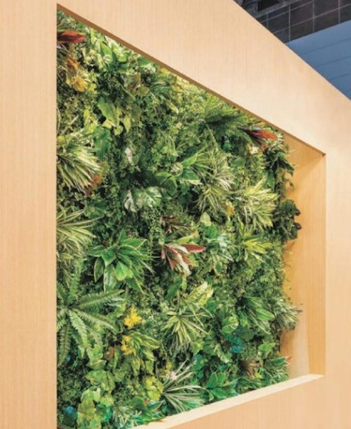 フェイクグリーンで風水効果もアップ おすすめの場所や種類まとめ フェイクグリーンで風水効果もアップ おすすめの場所や種類まとめ