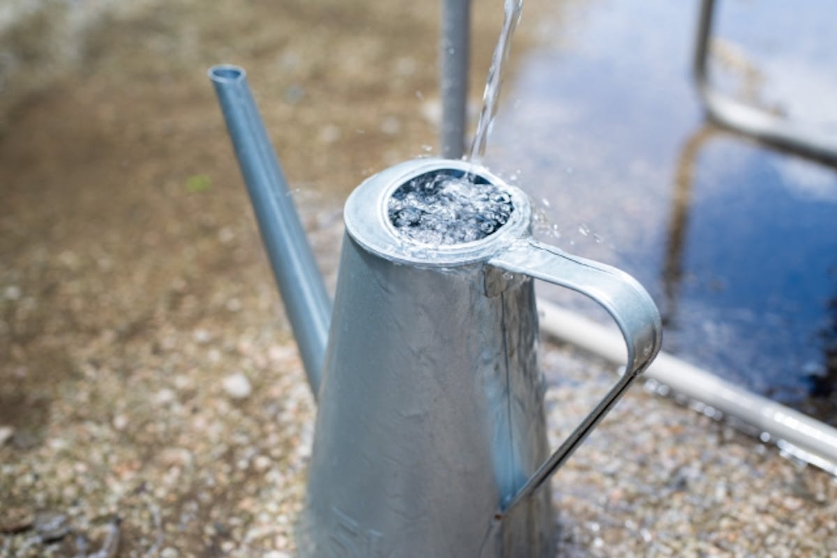 水やり　じょうろ