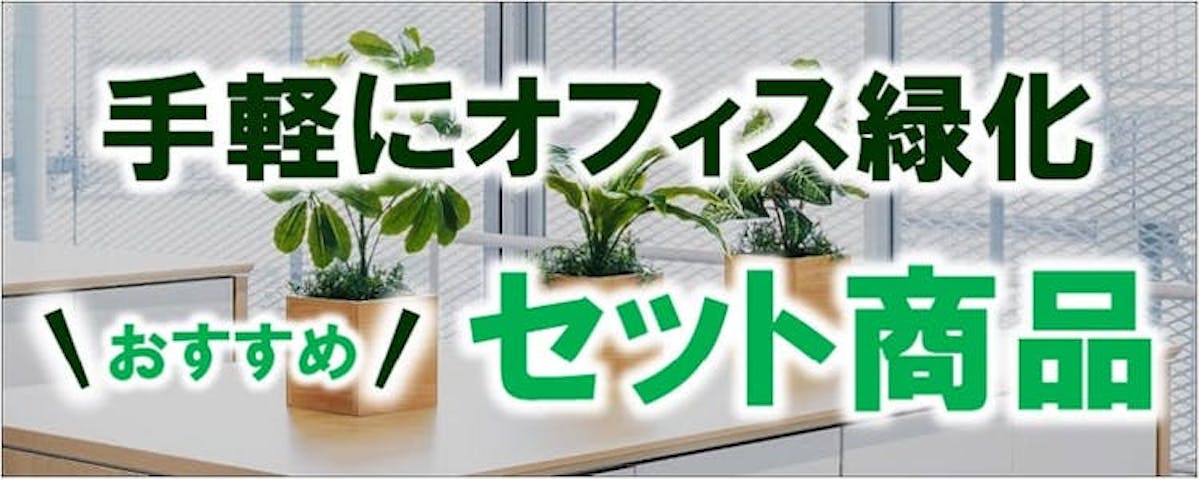 オフィス緑化　セット