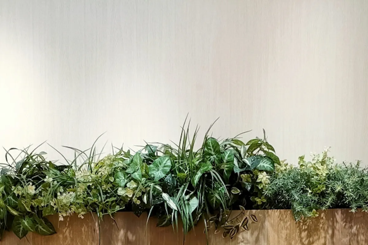 フェイクグリーン