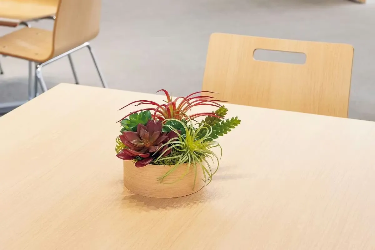 フェイクグリーン　卓上