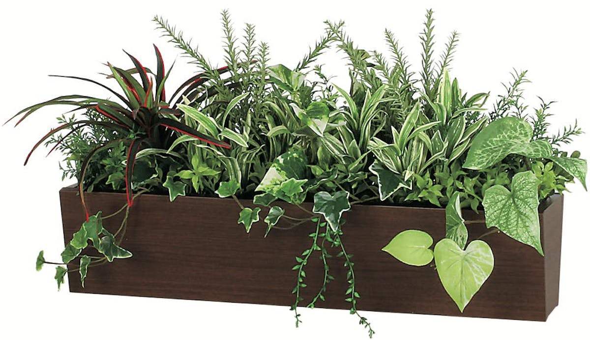 卓上ポット_フェイクグリーン