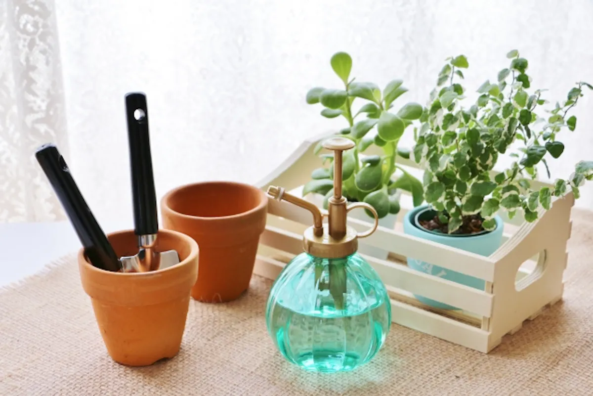 プミラ　霧吹き