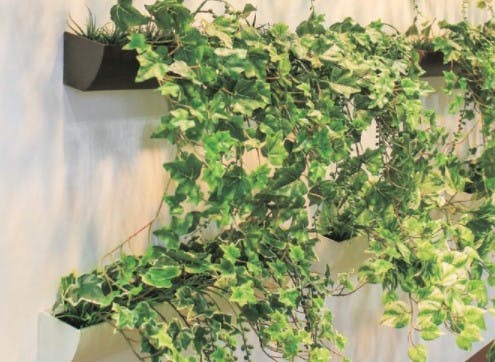 フェイクグリーン