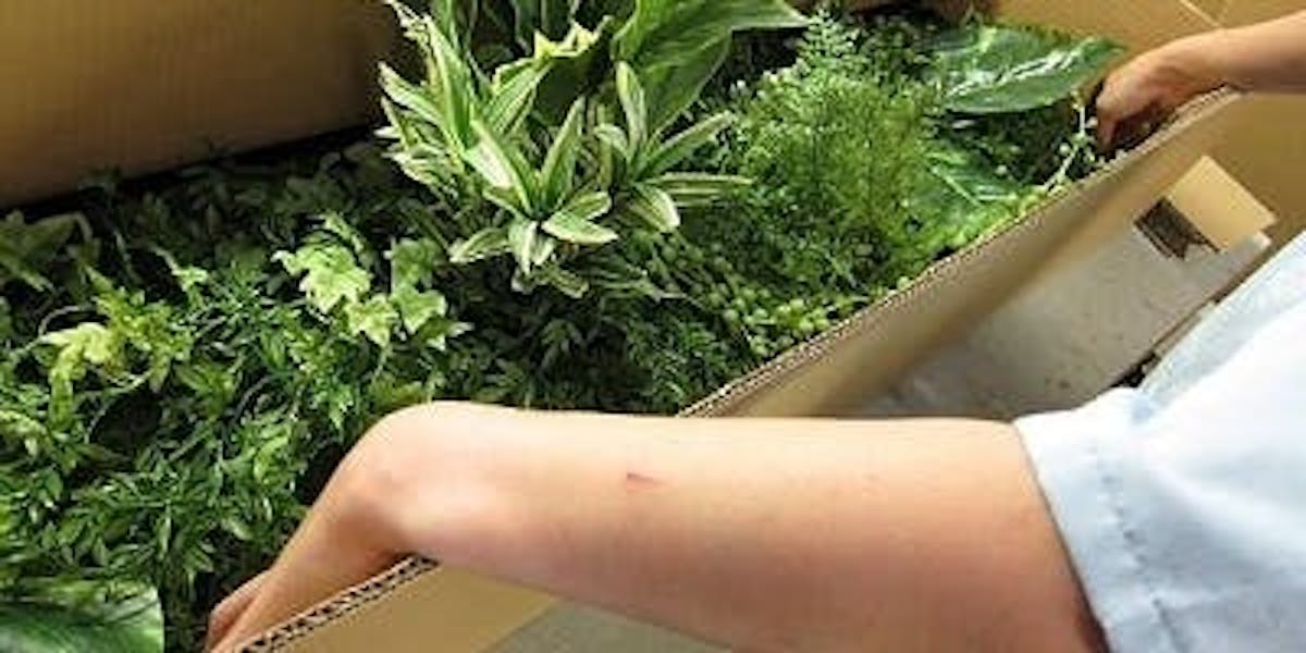 フェイクグリーン_梱包