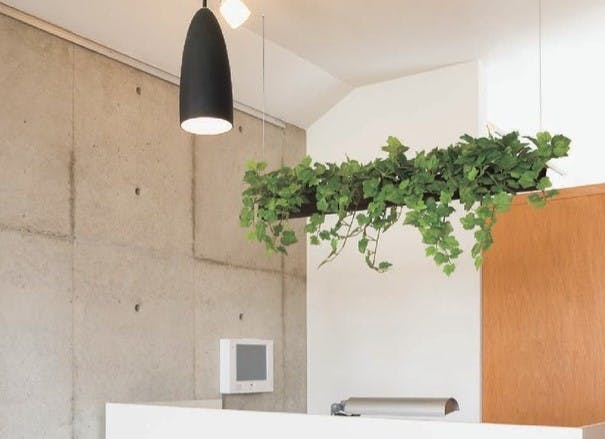 フェイクグリーン