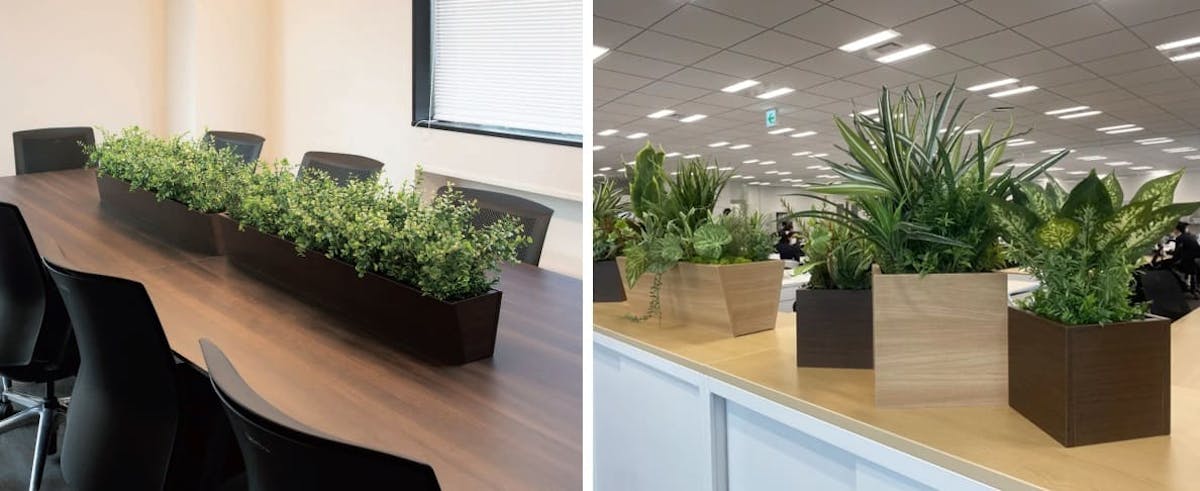 オフィスに植物を取り入れた「バイオフィリックデザイン」が注目の理由⁉｜グリーンモード