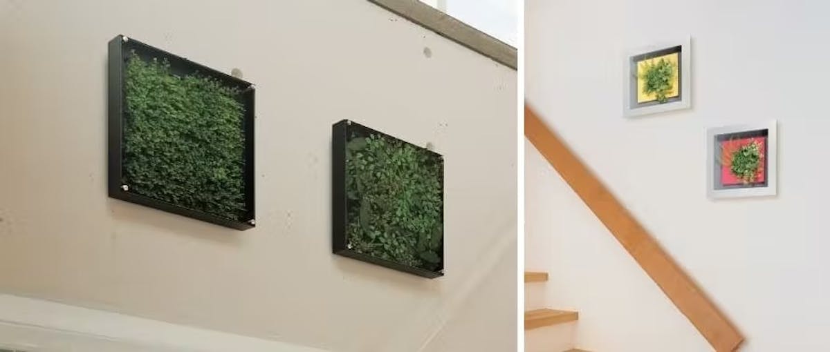 フェイクグリーン フレーム