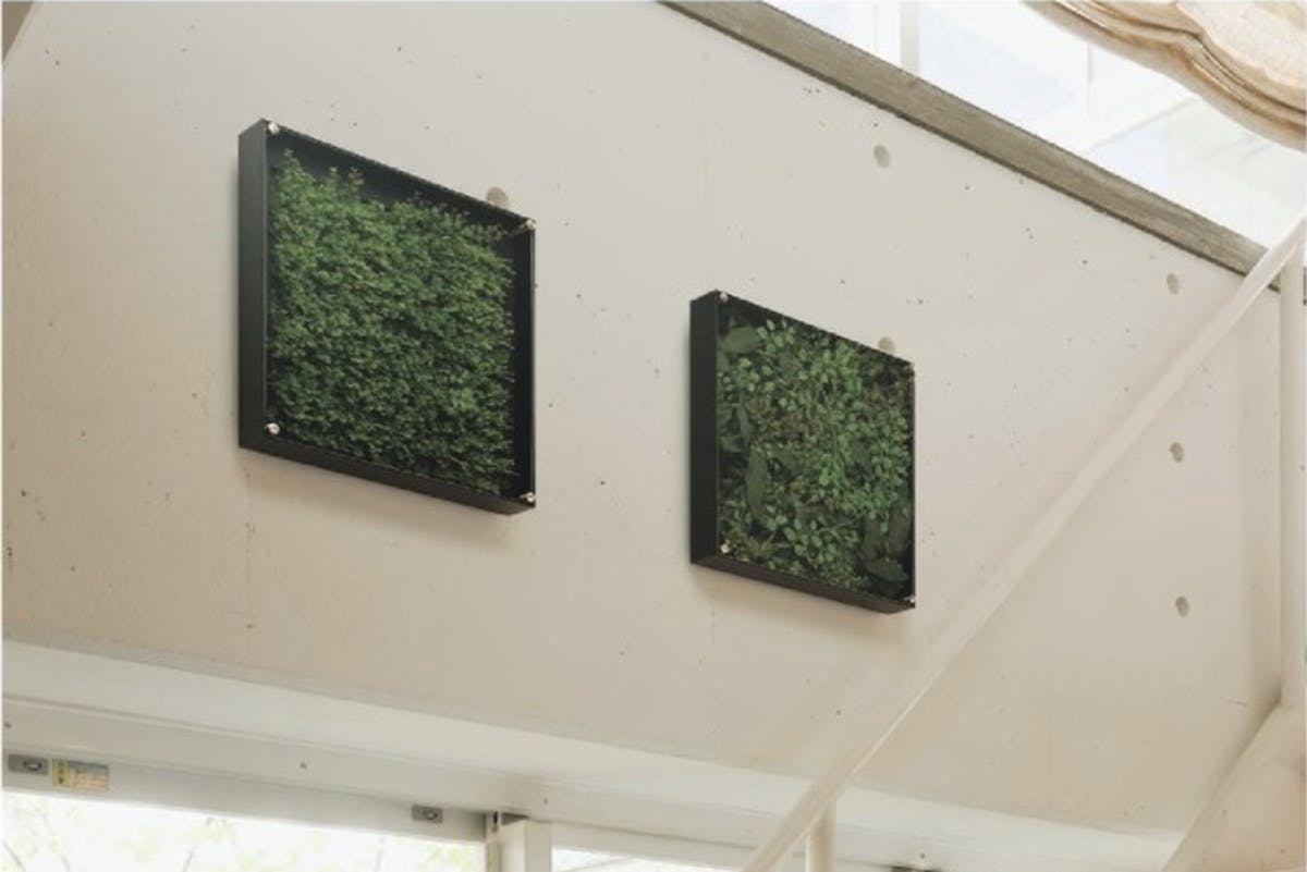 フェイクグリーン フレーム