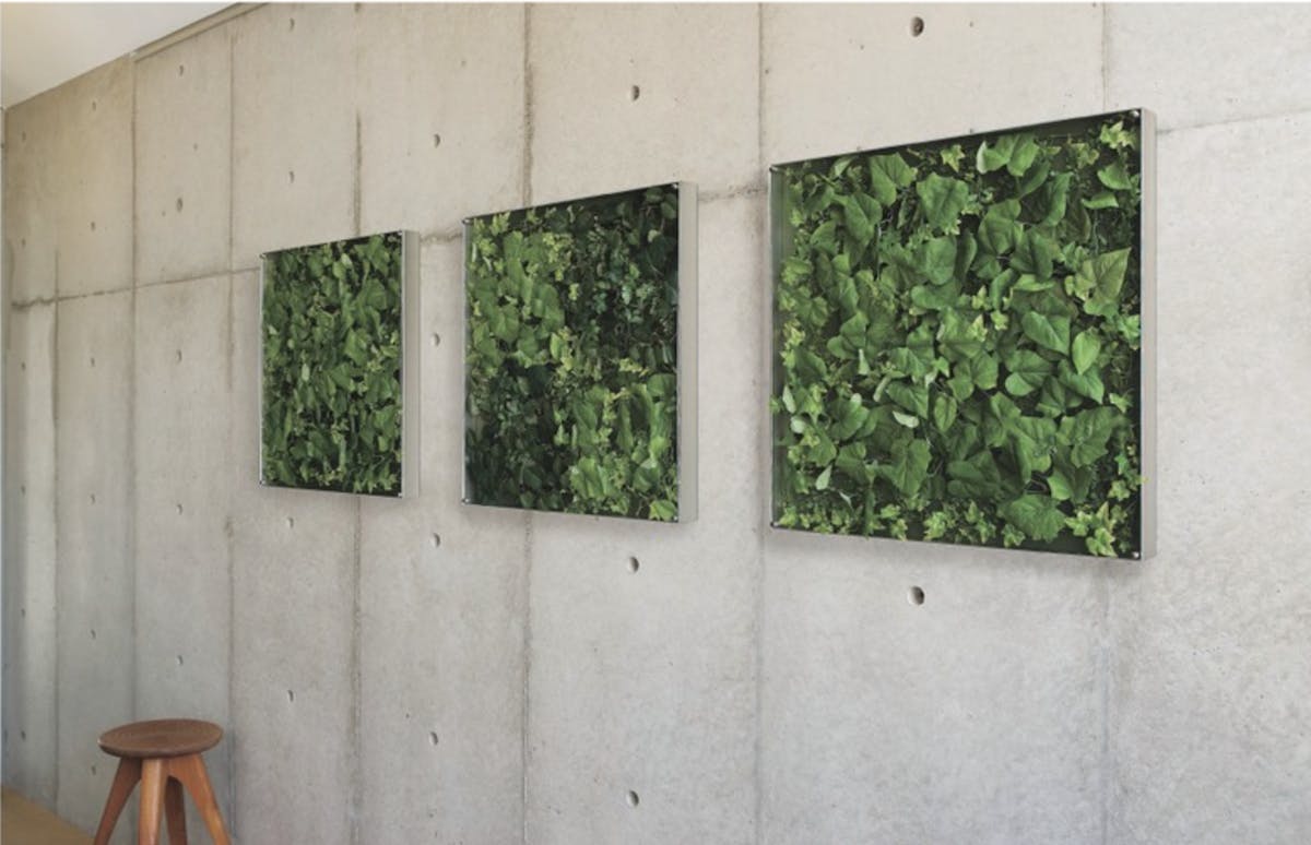 フェイクグリーン フレーム