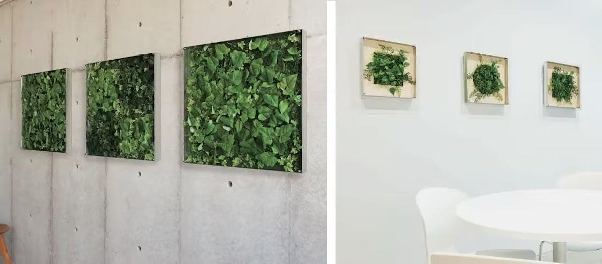 フェイクグリーン フレーム