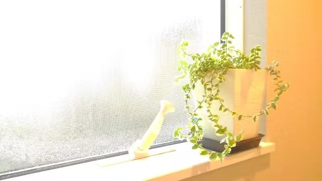 フェイクグリーン 日当たり