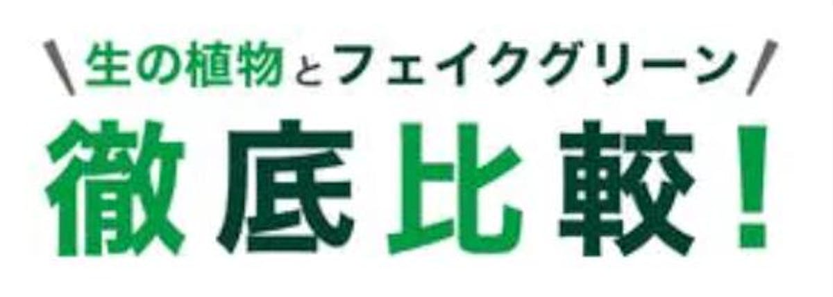 生の植物とフェイクグリーン徹底比較