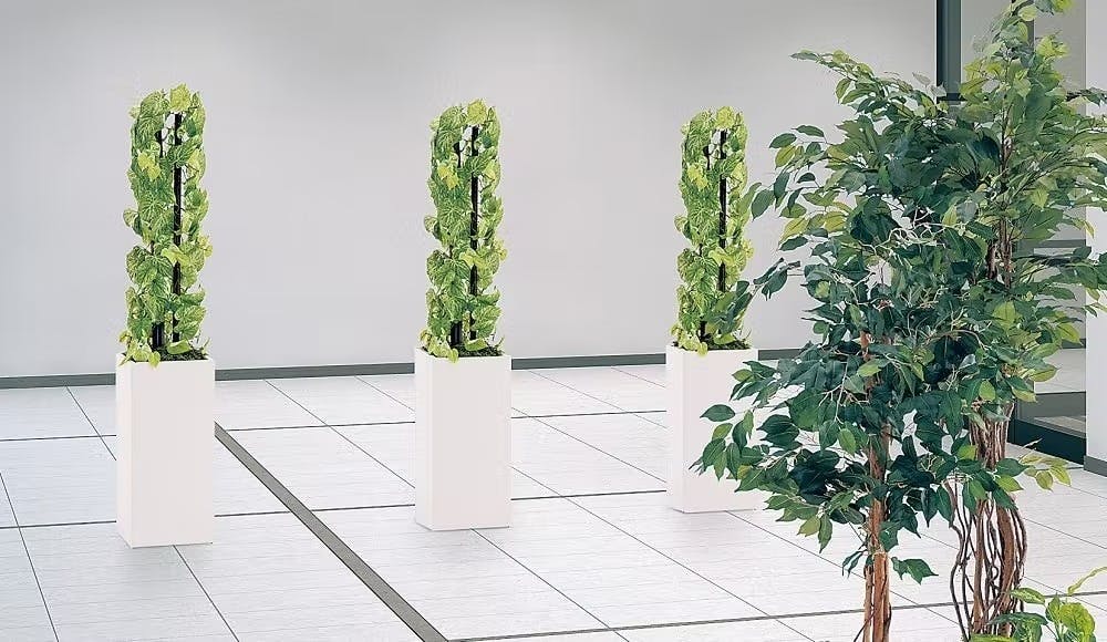 大型フェイクグリーン