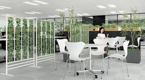 オフィスグリーン