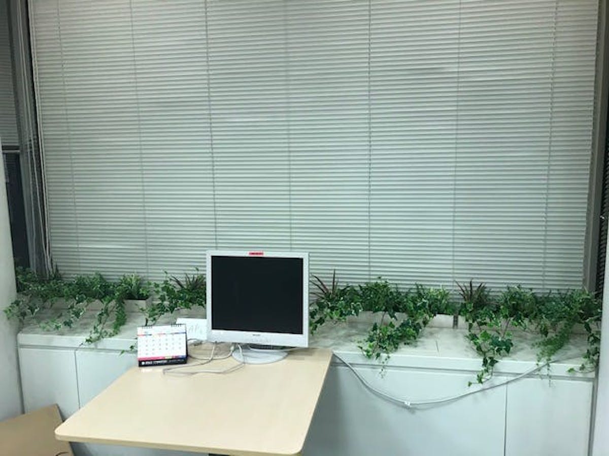 フェイクグリーン