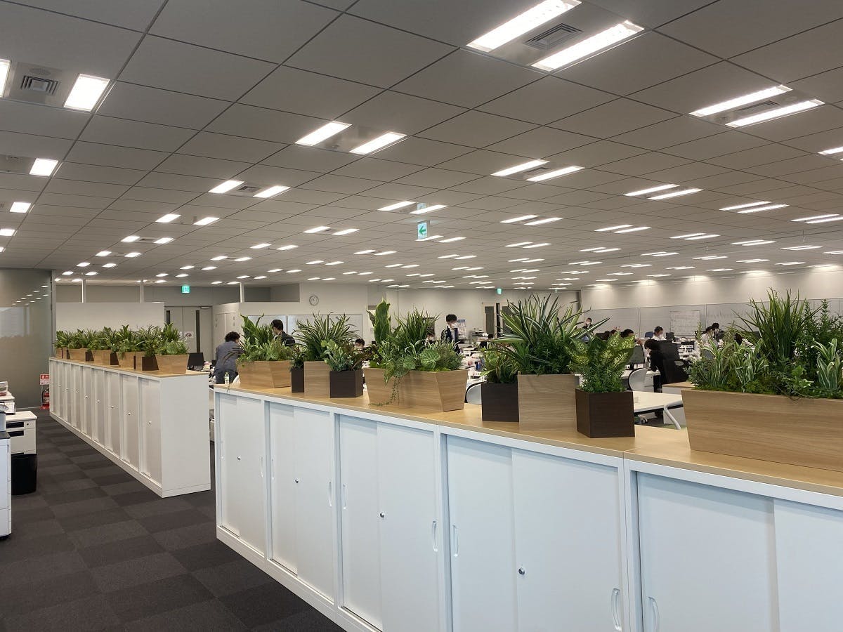 オフィス緑化
