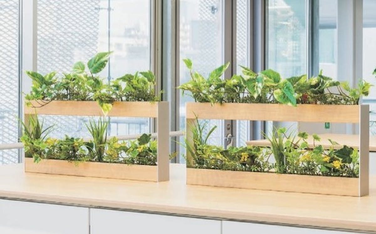 フェイクグリーン