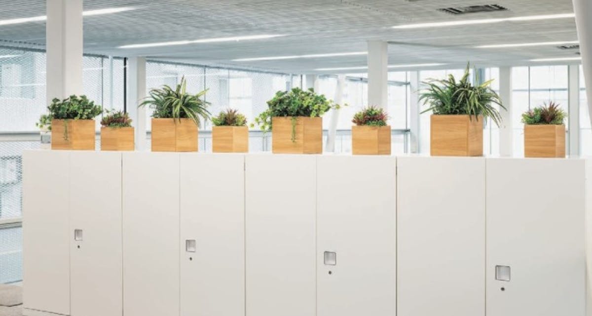 フェイクグリーン