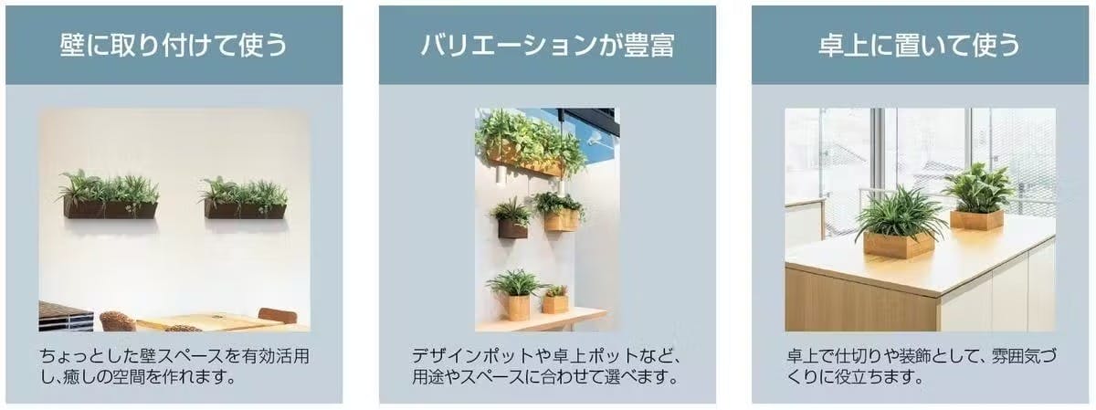 フェイクグリーン